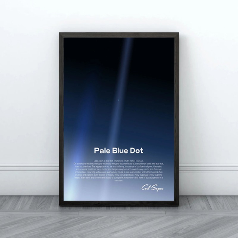 Pale Blue Dot Print Poster Voy - Star Map Poster recension och pris