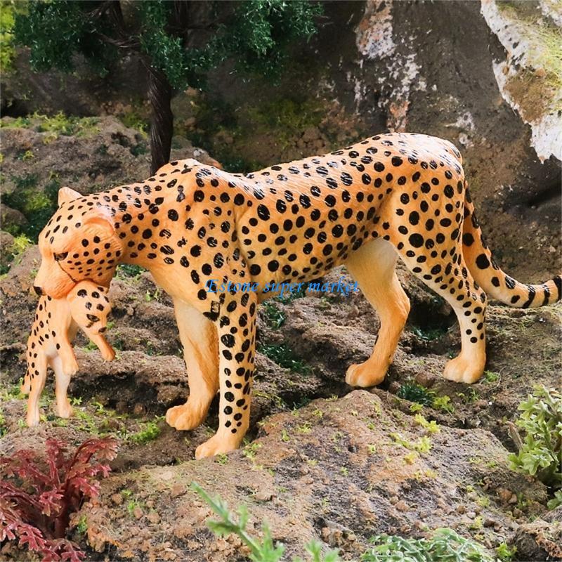 090B Realistic Cheetah Model f - Science Exhibition Models recension och pris