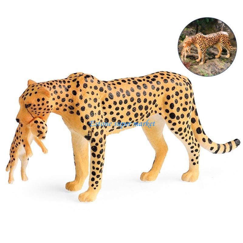 090B Realistic Cheetah Model f - Science Exhibition Models recension och pris