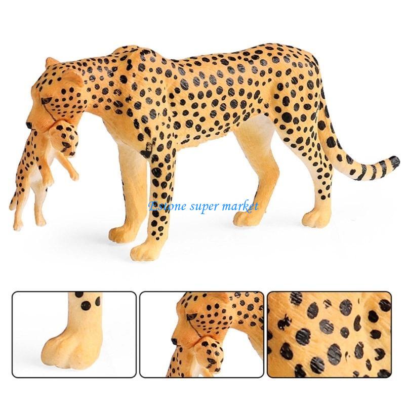 090B Realistic Cheetah Model f - Science Exhibition Models recension och pris
