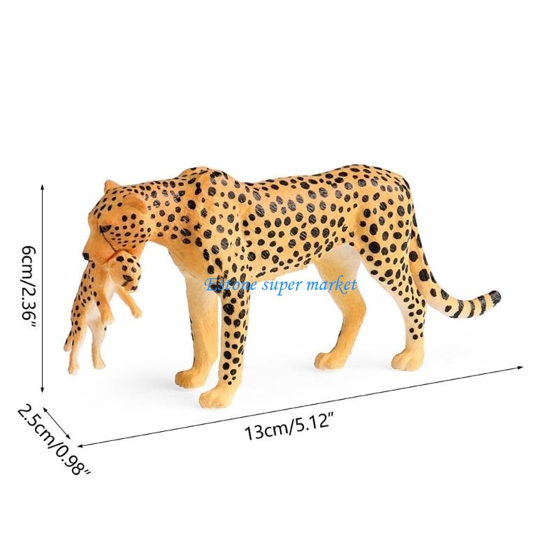 090B Realistic Cheetah Model f - Science Exhibition Models recension och pris