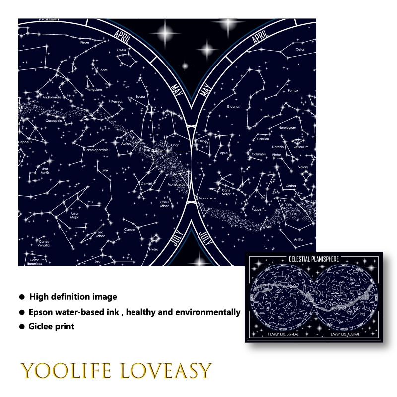 Celestial Planisphere Map Canv - Star Map Poster recension och pris